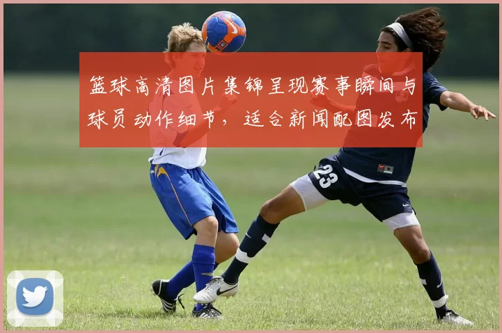 篮球高清图片集锦呈现赛事瞬间与球员动作细节，适合新闻配图发布