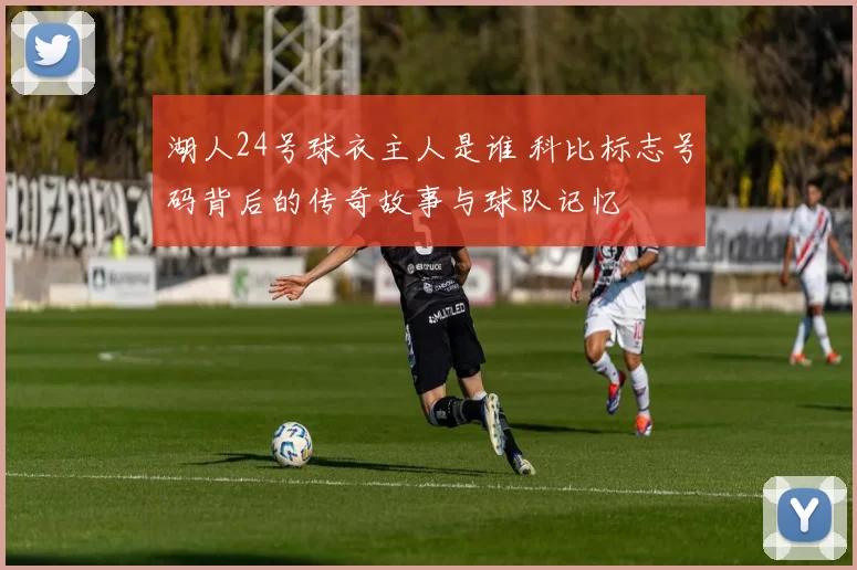 湖人24号球衣主人是谁 科比标志号码背后的传奇故事与球队记忆