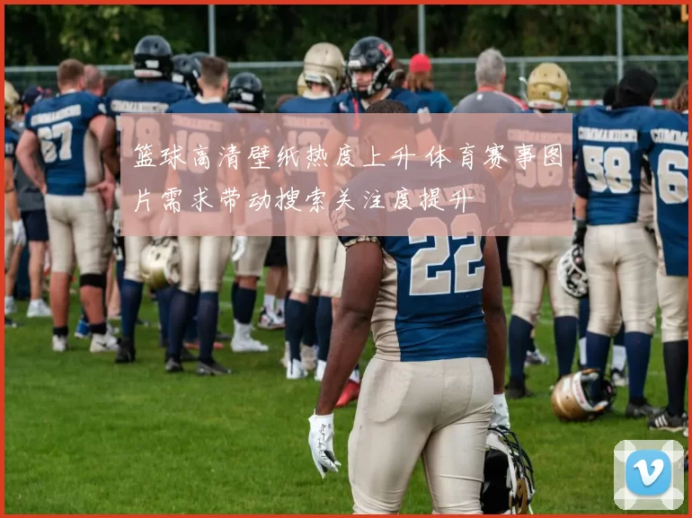 篮球高清壁纸热度上升 体育赛事图片需求带动搜索关注度提升
