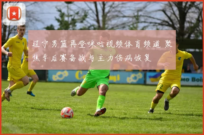 辽宁男篮再登咪咕视频体育频道 聚焦季后赛备战与主力伤病恢复