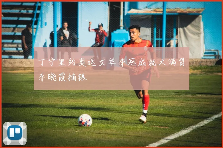 丁宁里约奥运女单夺冠成就大满贯李晓霞摘银