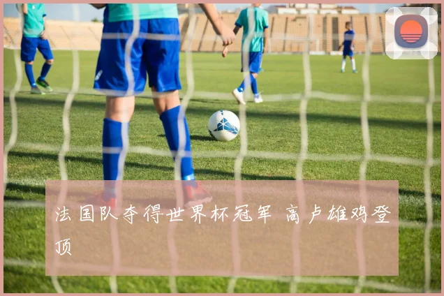 法国队夺得世界杯冠军 高卢雄鸡登顶